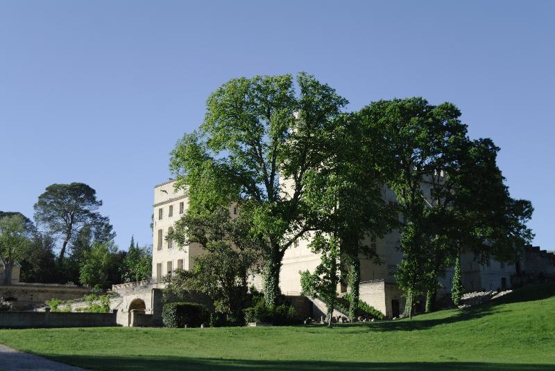 Hotel Chateau De Pondres Villevieille Exterior foto